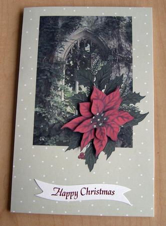 Old Window and Christmas Flower by Eunice Roberts