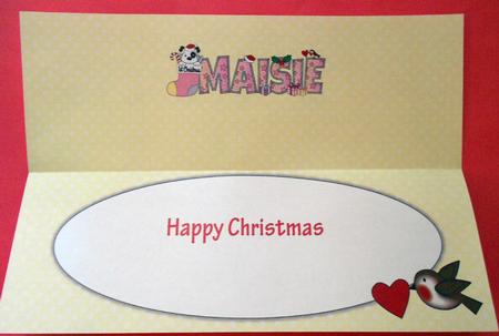 Patch 1st Xmas Maisie Large Dl Insert by Eunice Roberts