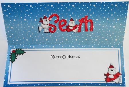 Xmas Seth Polar Bears Matching Large Dl Insert by Eunice Roberts
