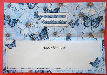 Birthday Granddaughter Floral Butterflies Large Dl Insert by Eunice Roberts