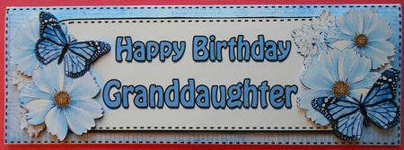Large Dl Birthday Granddaughter Floral Butterflies 3D Decoup by Eunice Roberts