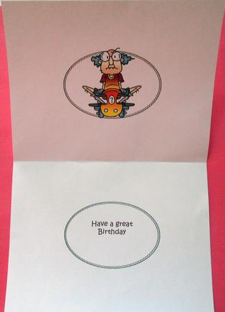 Gus Went to the Gym Insert by Eunice Roberts