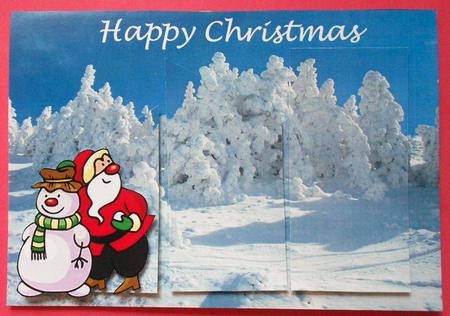 Snow Covered Pine Trees Quick Card by Eunice Roberts