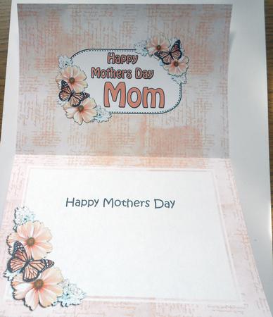 5x7 Mothers Day Mom Flowers & Butterflies Matching Insert by Eunice Roberts
