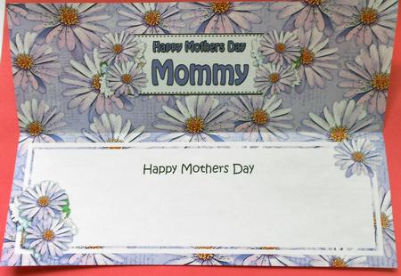 Mothers Day Mommy Daisies Floral Large Dl Matching Insert by Eunice Roberts
