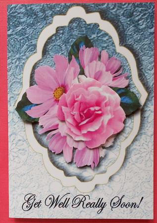 Get Well Flowers by Eunice Roberts