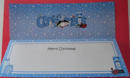 Large Dl Christmas Pip Pengin Postbox Insert by Eunice Roberts