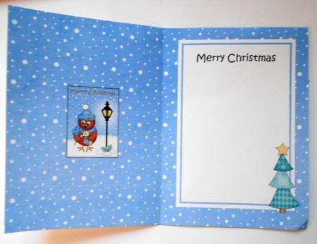 Christmas Cute Little Robin Lamp Post 5x7 Matching Insert by Eunice Roberts