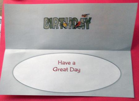 Garden Birds Birthday Large Dl Insert by Eunice Roberts