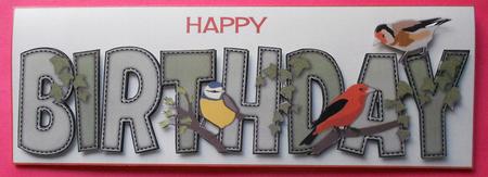 Garden Birds Birthday Large Dl by Eunice Roberts