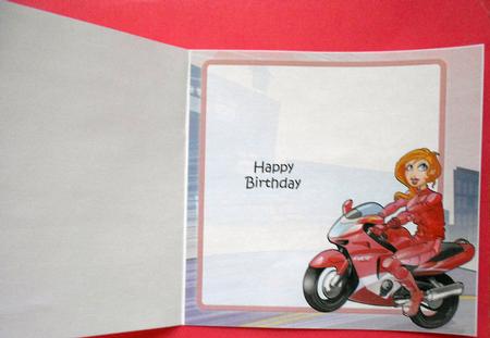 Biker Chick Pink 8x8 Insert by Eunice Roberts