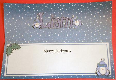 Large Dl Christmas Liam Penguins Insert by Eunice Roberts