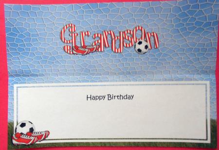 Happy Birthday Grandson Matching Large Dl Insert by Eunice Roberts
