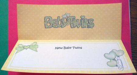 New Baby Twins Matching Large Dl Insert by Eunice Roberts