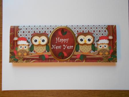 Red Christmas Owls Happy New Year Large Dl Card Kit by Eunice Roberts