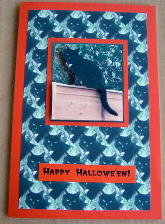Black Cat on Fence 3D Decoupage with Background by Eunice Roberts