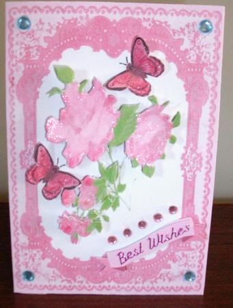 Pink Wild Rose in Pink Lace Frame by Eve Bartlett