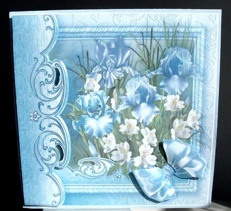 Iris in a Blue Rope Frame - 8in x 8in Decoupage by Eve Bartlett