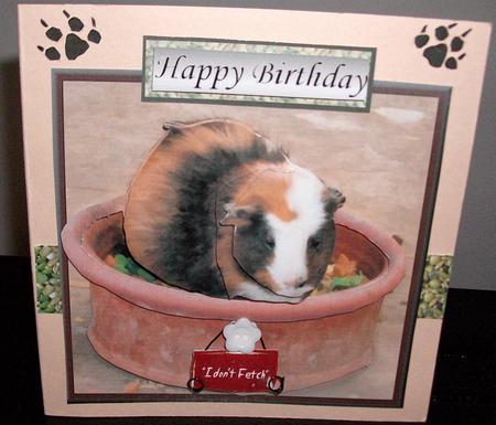 Guinea Pig 3D Decoupage by Eve Bartlett