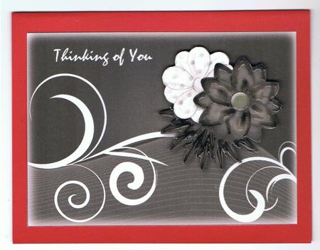 Autum Floral 4 Black and White Featured Gallery Photo