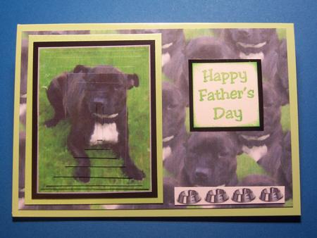 Staffordshire Bull Terrier Pyramid with Background by Eve Thirkle