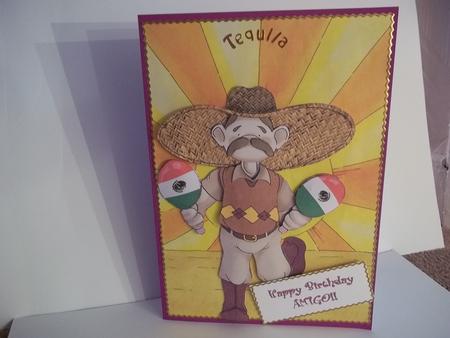 Mexican Doodles by Faith Irvine