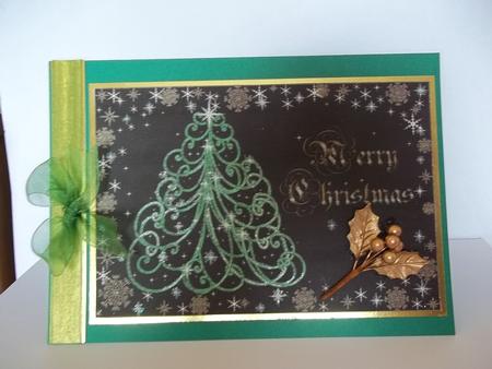 Shining on Christmas by Faith Irvine