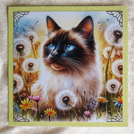 Wishing Meadow Cats 3 by Faye Volo