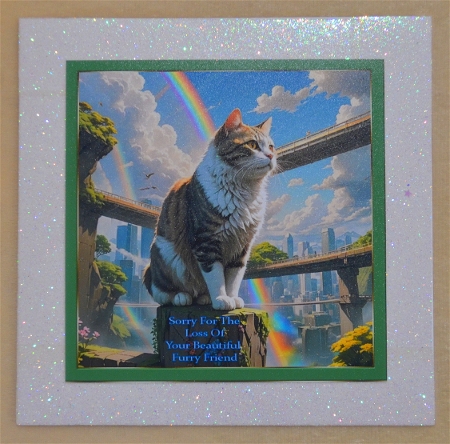 Pet loss cat  by Faye Volo