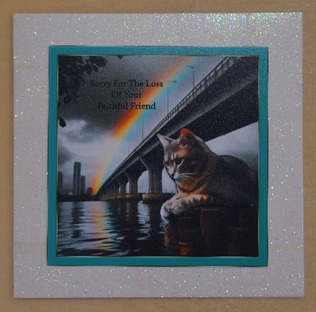 pet cat sympathy 4 by Faye Volo