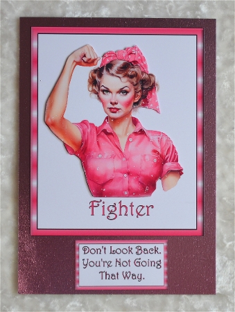 Fighter by Faye Volo