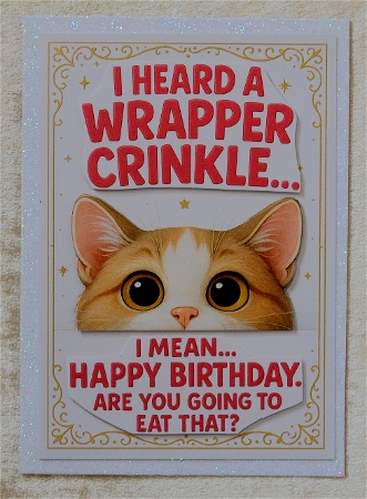 DD FUNNY BIRTHDAY A4 49 by Faye Volo
