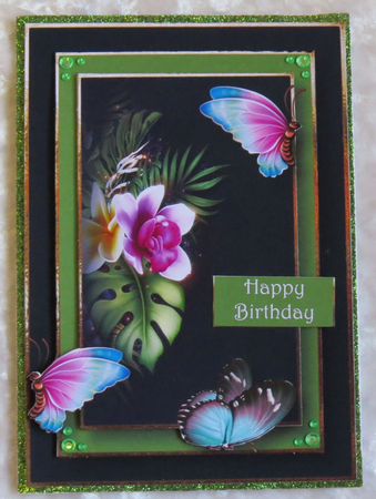 Tropical Butterflies by Faye Volo