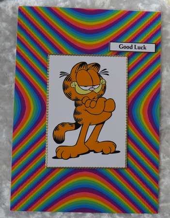 Garfield A5 Quick Card by Faye Volo