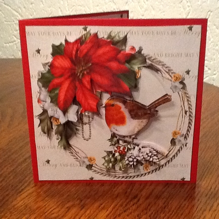 8x8 Red robin in festive frame mini kit by Fia Tummers