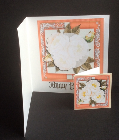 Beautiful Cream Roses  by Fran Turner