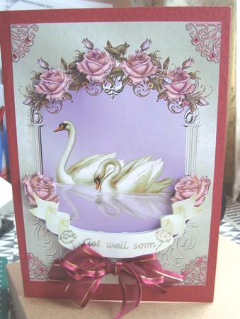 Swans and Roses Pink by Fran Turner