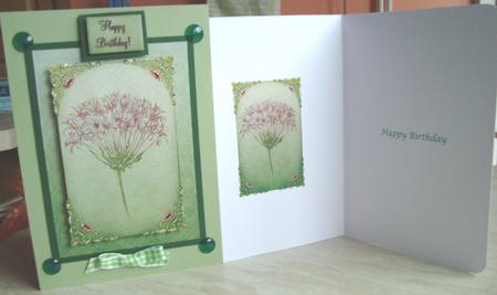 Wild Flower in Green Frame by Fran Turner