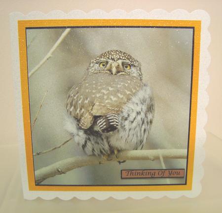 Northern Pygmy Owl Topper by Fran Turner
