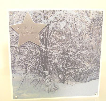 Christmas Scene Topper 10 by Fran Turner