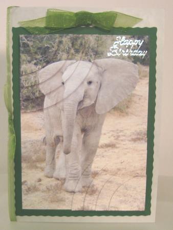 Cute Baby Elephant Duo Corner Stacker by Fran Turner