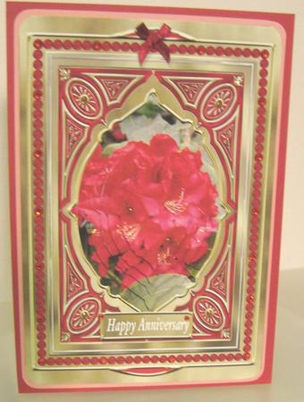 Lovely Red Rhododendron by Fran Turner