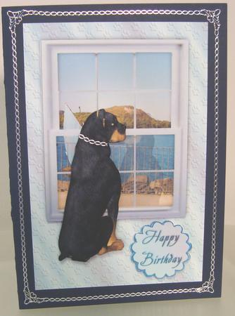 Rottweiler Looking Out Window Birthday by Fran Turner