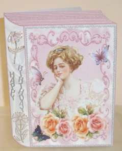 Vintage Lady in Pink Rose Frame Folded Book by Fran Turner