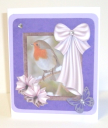 Beautiful Robin Robo by Fran Turner