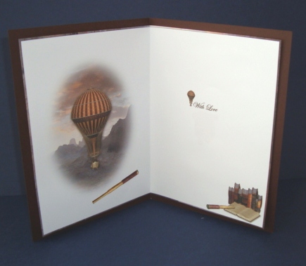 The Great Balloon Race Insert by Fran Turner