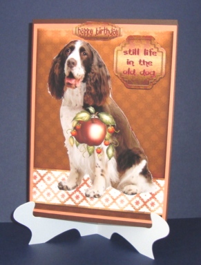 Still Life in the Old Dog - Spaniel by Fran Turner