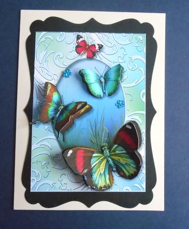 Gorgeous Butterflies on a Shimmering Frame by Fran Turner