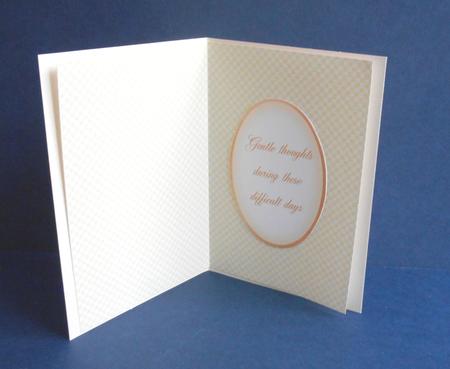 Gingham Paper Pack, 10 Backing Papers by Fran Turner