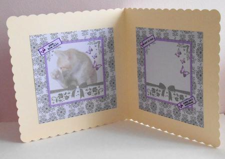 Secret Cat Pyramage for Purr-fect Birthday Insert by Fran Turner